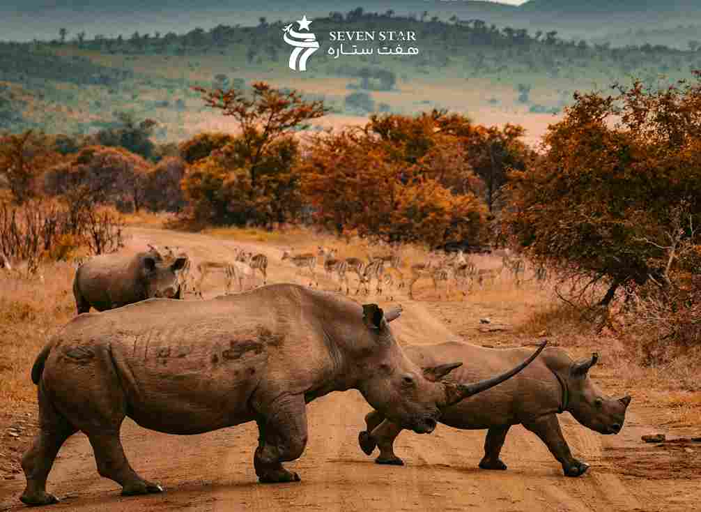 آفریقا جنوبی